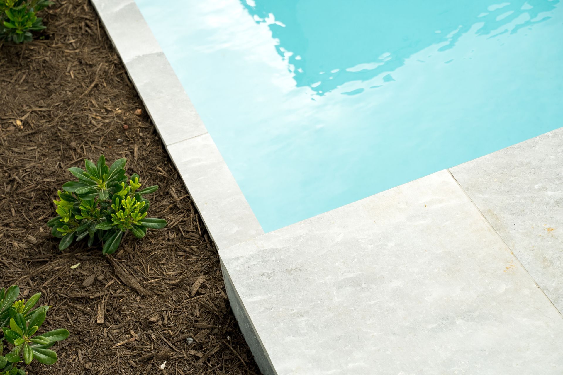 Latitude 37, Wimborne Ave