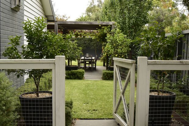 A landscaped residential courtyard garden viewed through an open white-painted timber and wire gate. A narrow lawn path leads to a paved outdoor dining area beneath a timber pergola, surrounded by raised black planters, clipped hedges, dense greenery, and a grey weatherboard-clad house.