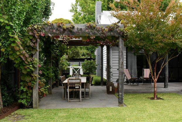 A landscaped courtyard garden with a vine-covered timber pergola and outdoor dining setting in the foreground. Behind it is a contemporary dark-clad house with a covered deck, outdoor chairs, and a small ornamental tree. The scene is green, shaded, and residential, with a strong indoor-outdoor connection.