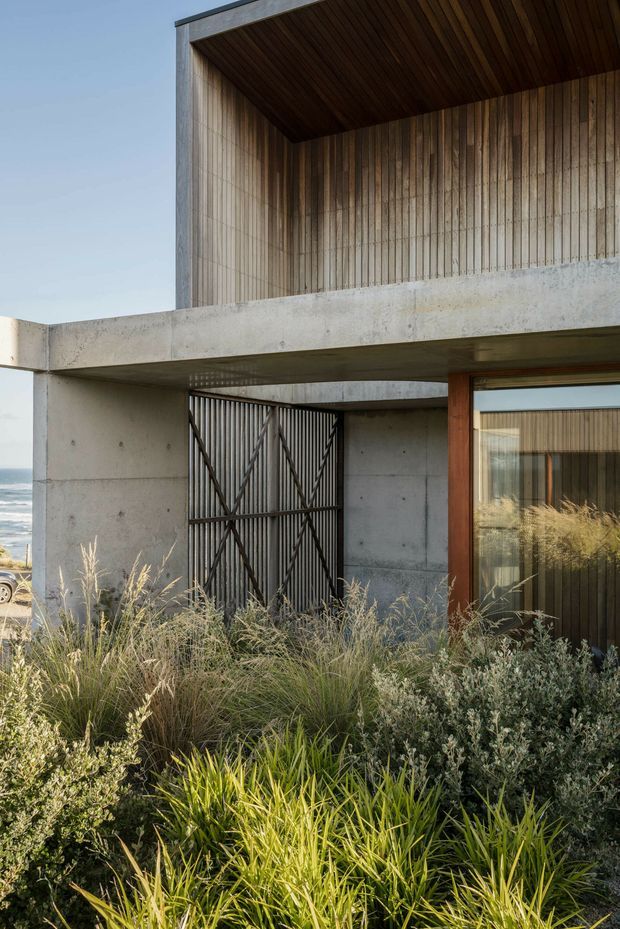 Exterior view of a modern coastal residence with a raw concrete frame, vertically lined timber walls and soffit, dark metal security gates, and a large timber-framed glazed opening. Dense drought-tolerant ornamental planting fills the foreground, with a glimpse of the sea visible at left.