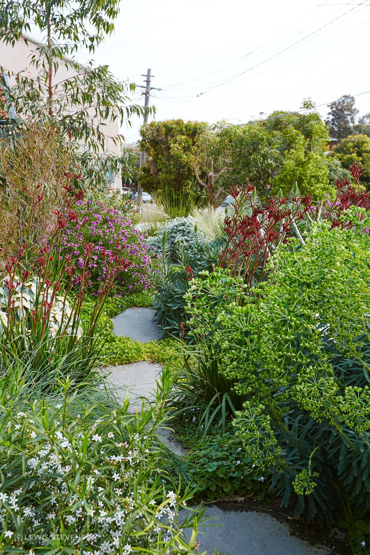 St Thomas St. by Landsberg Garden Design ArchiPro AU