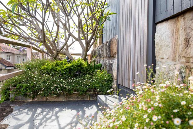 A landscaped residential exterior with a paved walkway beside a contemporary facade. The building combines vertical grey metal cladding, dark horizontal cladding, and rough natural stonework, bordered by raised garden beds with flowering groundcover and a mature frangipani-like tree.