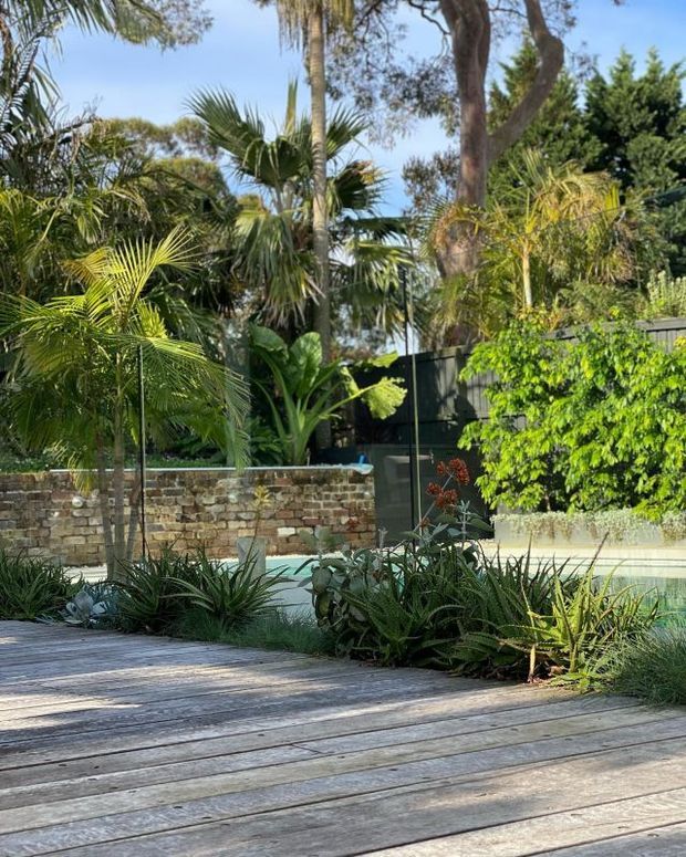A lush landscaped outdoor pool area viewed from a broad weathered timber deck. Dense tropical and subtropical planting surrounds a pale swimming pool, with a low stone and brick retaining wall, dark privacy fencing, and mature trees creating a secluded garden atmosphere.