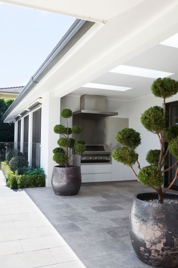 Bright covered outdoor entertaining area with a built-in stainless-steel barbecue, white cabinetry, a large extraction hood, skylight openings, and grey tiled paving. Sculpted topiary trees in large dark ceramic planters frame the space, with extensive glazing and a white roof structure creating a clean, contemporary courtyard setting.
