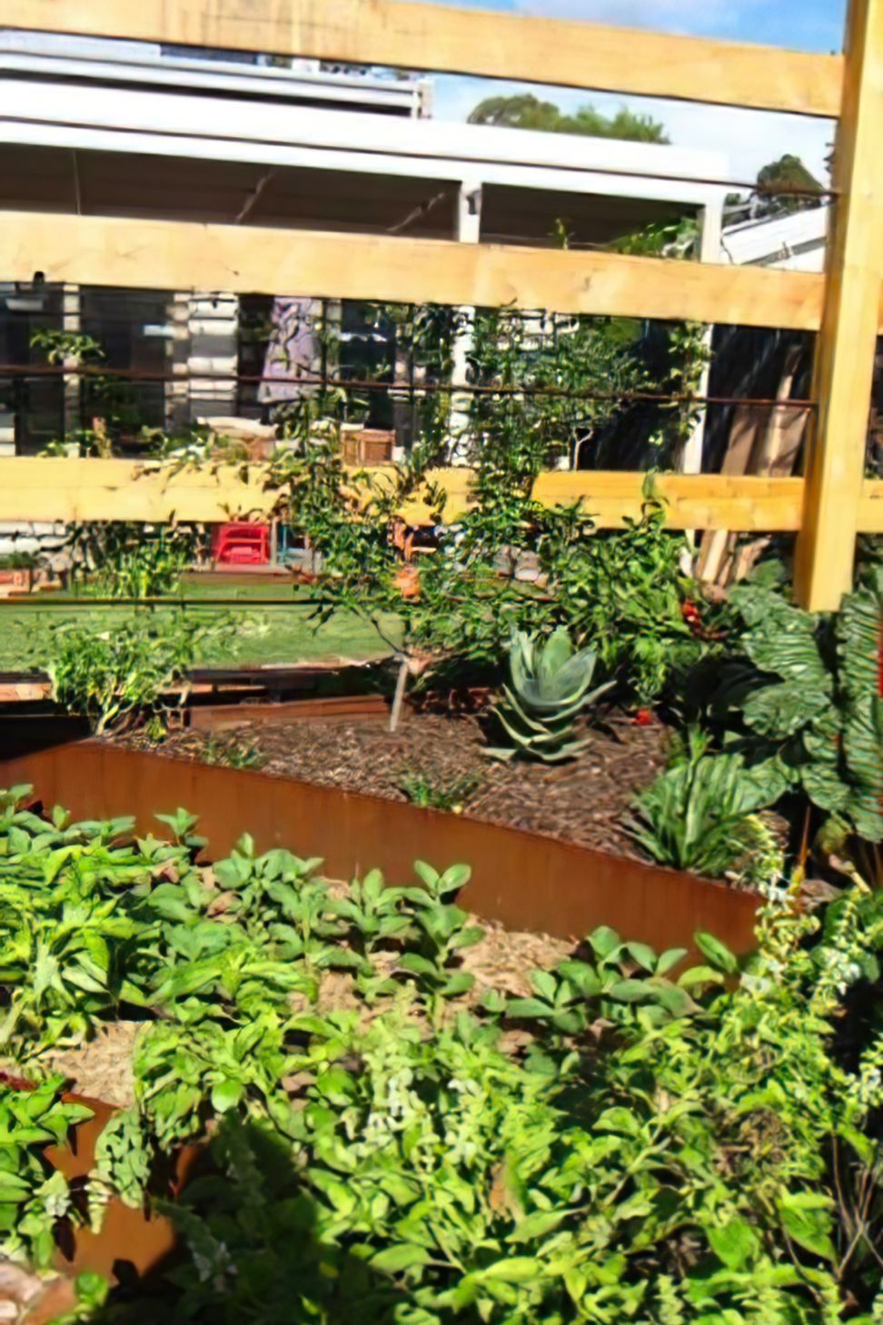 Looking toward the house through the espalier frames AFTER design