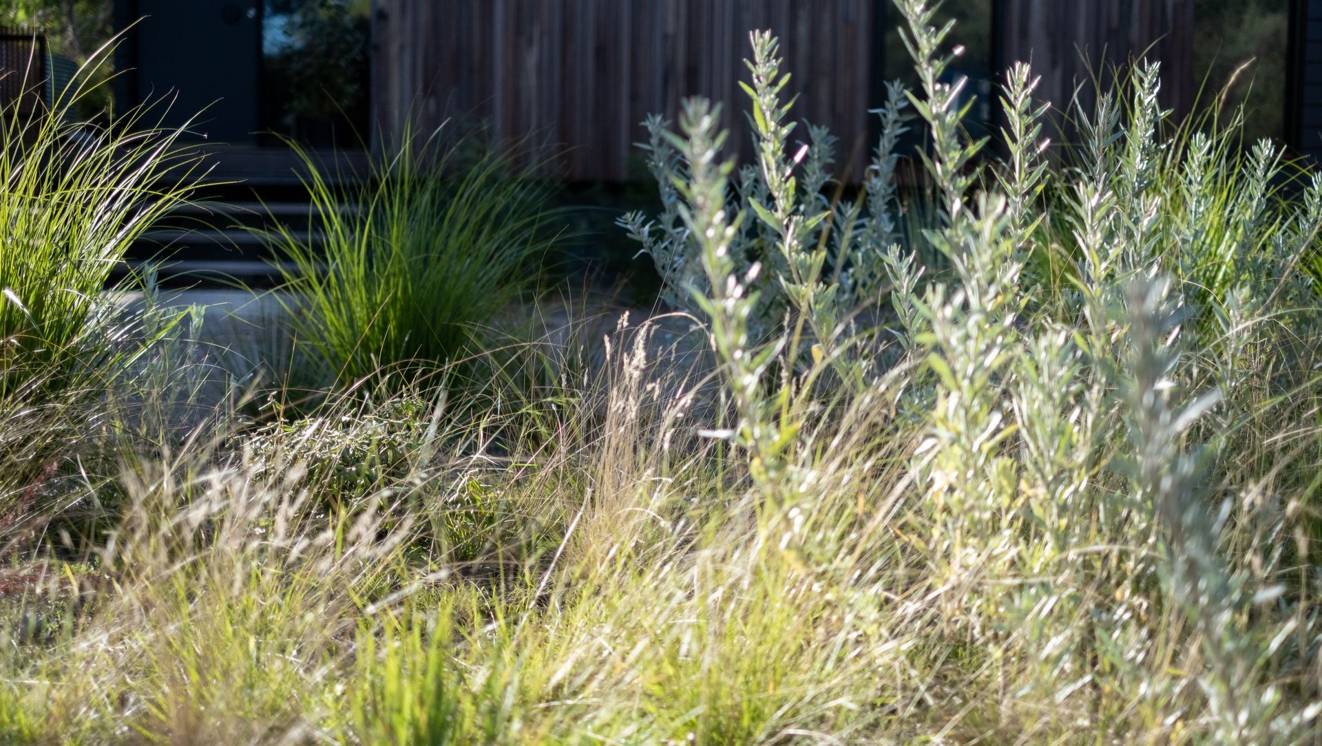 Merricks Beach banner