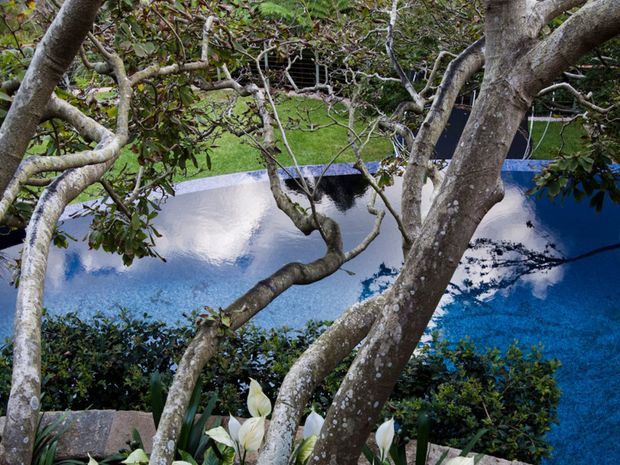 A landscaped outdoor pool viewed through the branching trunks of mature trees. The pool has deep blue water with strong reflections of clouds and sky, surrounded by lush greenery, hedging, and garden planting.