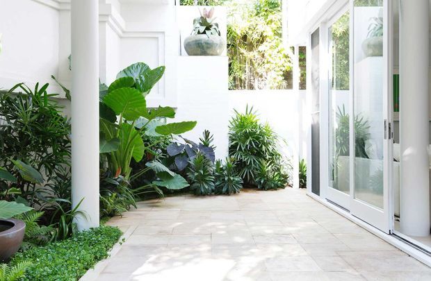Bright enclosed courtyard or covered outdoor passage with white architectural columns, walls, and detailed trim. Large white-framed glazed doors line the right side, while dense tropical planting and potted greenery border a pale stone-tiled floor. The space feels airy, lush, and connected to the adjacent interior.