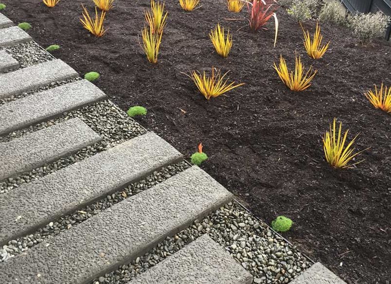 Soft Landscaping Design