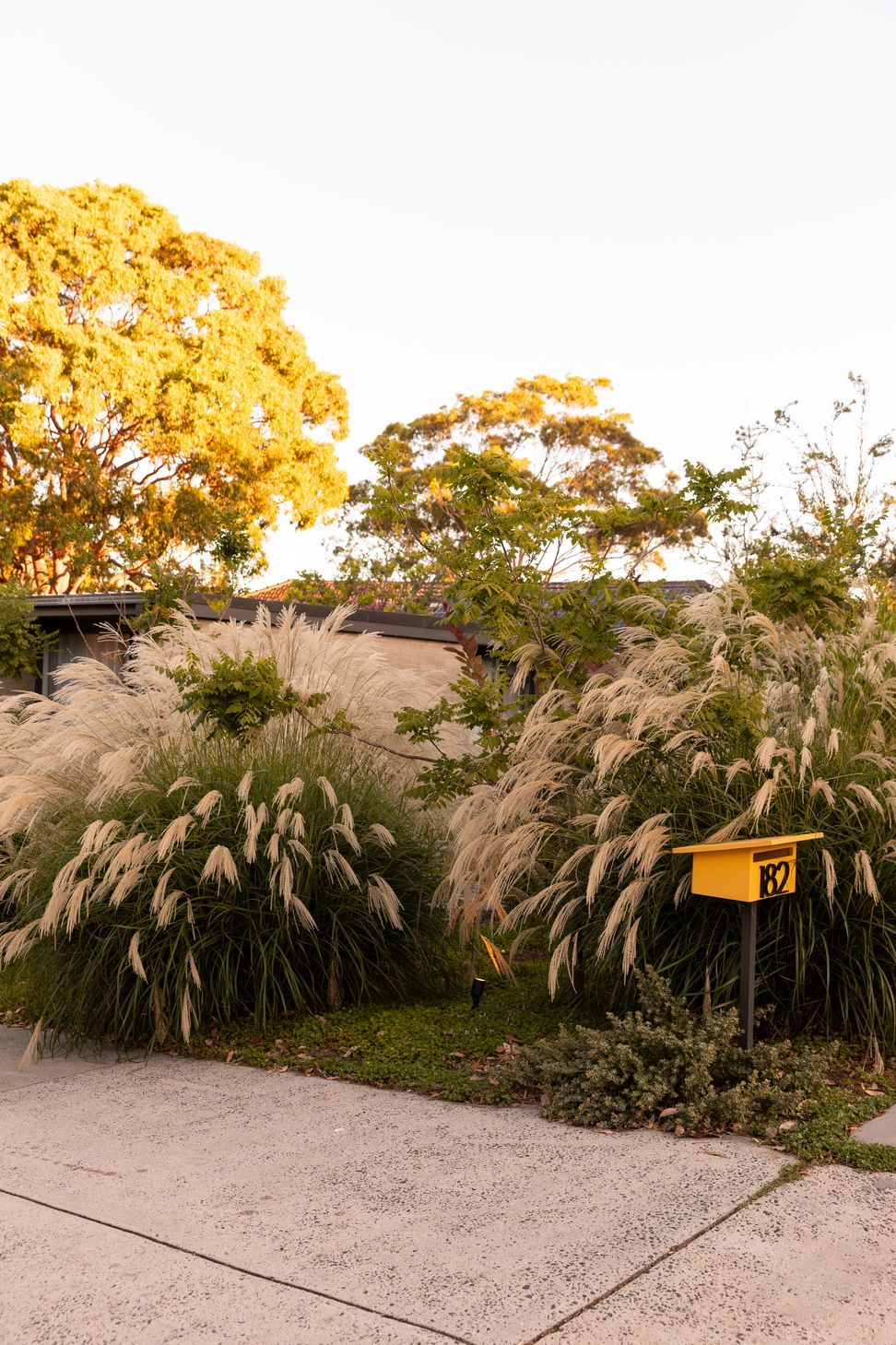 MurrayMountainView6474Gemmola.jpg