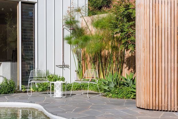 A contemporary landscaped courtyard beside a building, featuring a small swimming pool, irregular grey stone paving, white wire-frame lounge chairs, lush ornamental planting, a vertical timber slat privacy screen, and white-framed full-height glazing.