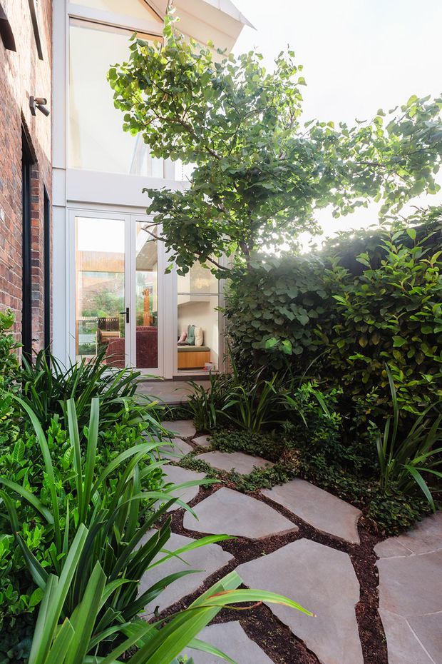 A lush landscaped courtyard garden with irregular pale stone stepping slabs set among dark planting beds and dense green foliage. The path leads toward a glazed contemporary extension with white-framed doors and windows, while a brick wall and mature small tree frame the space.