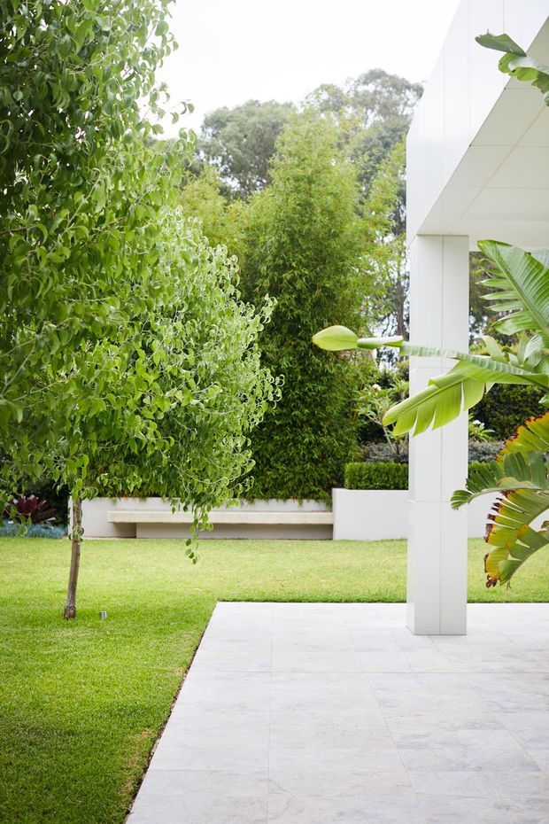 A bright landscaped outdoor patio beside a modern white building. The scene features pale tiled paving, a crisp square structural column and soffit, manicured lawn, dense green planting, a small ornamental tree, bamboo, and tropical foliage.