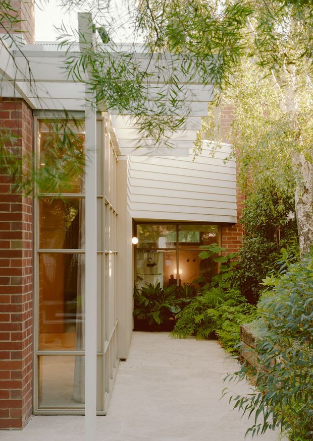 A narrow landscaped courtyard or passage beside a modern brick-and-weatherboard building. The view includes tall glazed windows, white horizontal cladding, exposed red brick walls, a pale paved walkway, and dense greenery surrounding the entry-like space. The architecture combines crisp contemporary detailing with warm natural materials and abundant planting.