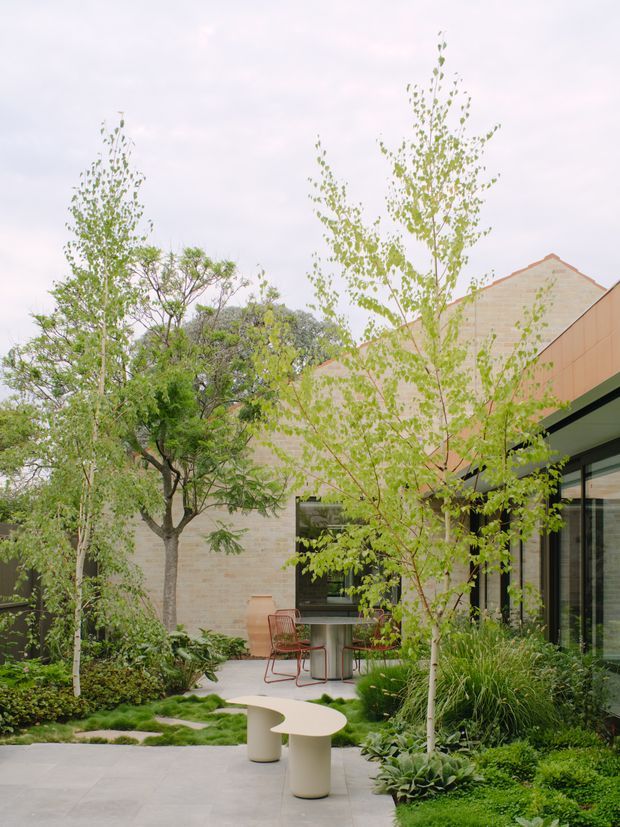 A landscaped courtyard garden beside a contemporary building, featuring pale stone or brick walls, extensive glazing with dark metal frames, mature and young deciduous trees, layered planting, ornamental grasses, stepping stones, and a paved outdoor seating area with sculptural curved furniture. The setting is bright, calm, and contemporary, with the building’s pitched roofline visible behind the garden.
