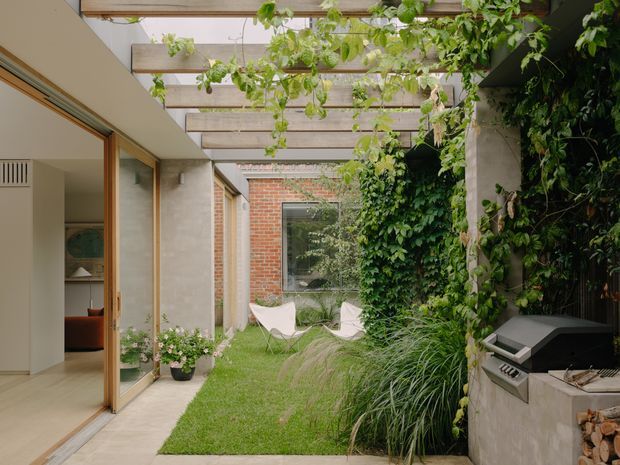 A lush enclosed courtyard garden viewed from the interior, with a timber-framed glazed opening, exposed timber pergola overhead, climbing greenery, lawn, ornamental planting, and concrete structural columns. A built-in outdoor barbecue sits at the right, while a brick-clad wall and a glimpse of a minimalist interior are visible beyond.