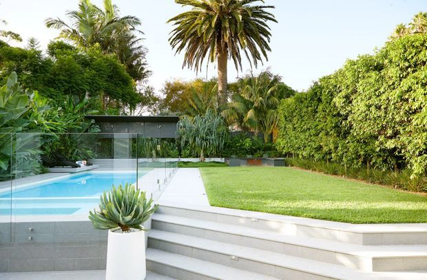 A landscaped modern residential outdoor area featuring a turquoise swimming pool, broad pale stone steps, a manicured lawn, dense tropical planting, tall palm trees, and a low dark-framed glass structure partially screened by greenery.