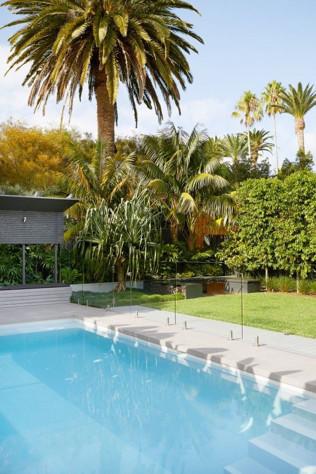 A bright landscaped outdoor pool area with a large turquoise swimming pool, broad pale paving, frameless glass pool fencing, integrated pool steps, and a manicured lawn. Dense tropical planting and tall palm trees surround the pool, with a small dark horizontal-clad poolside structure visible at the left.