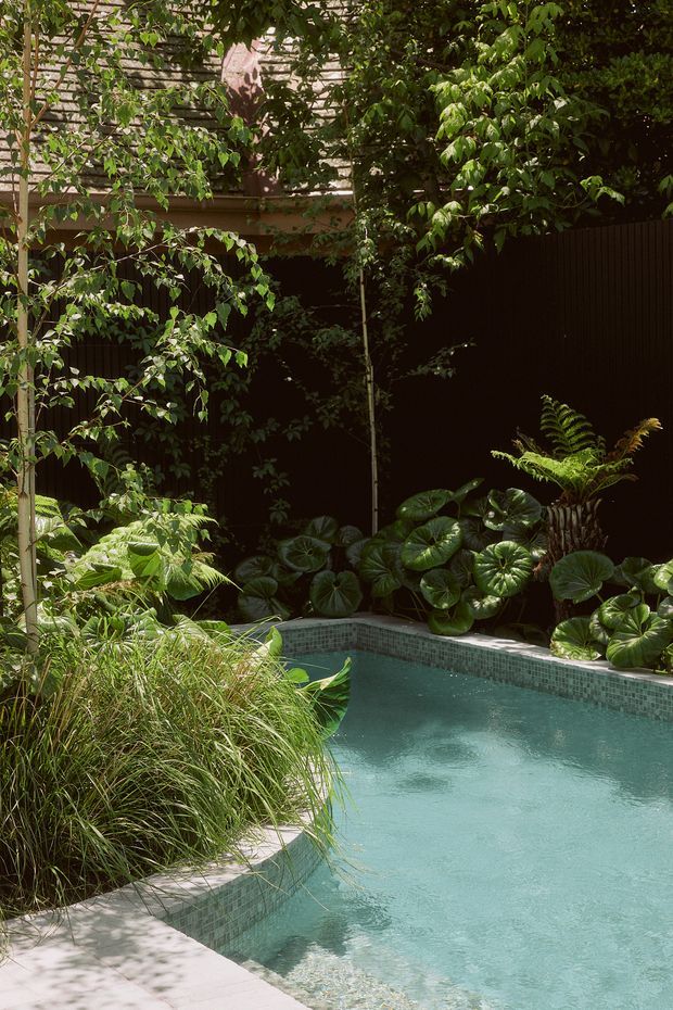 A lush, secluded courtyard garden with a turquoise swimming pool edged in small green mosaic tiles. Dense tropical planting, ferns, broad-leaf foliage and ornamental grasses surround the pool, with a dark vertical privacy fence and partially visible timber-clad structure in the background. The scene has a tranquil, resort-like atmosphere with dappled sunlight and organic landscaping.