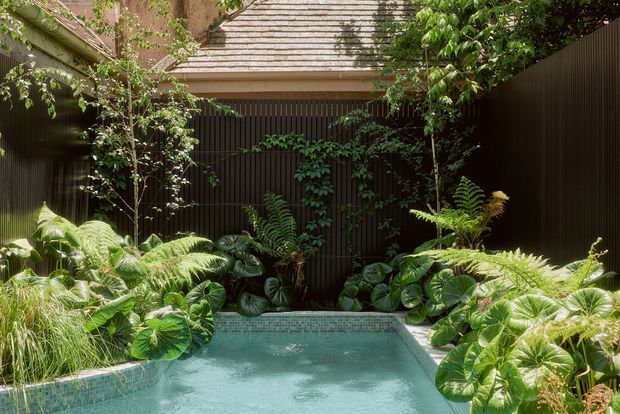 A lush, enclosed courtyard pool surrounded by dense tropical and fern planting. Dark vertical screening and warm timber-toned roof elements frame the compact turquoise pool, creating a secluded garden retreat with dappled sunlight.