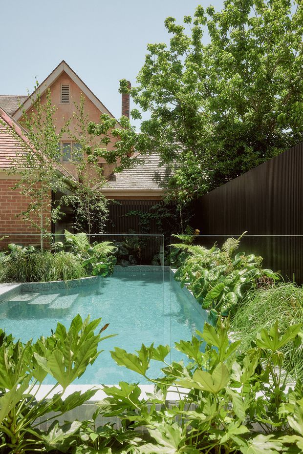 A lush landscaped courtyard with a narrow turquoise swimming pool enclosed by clear glass fencing. Dense tropical-style planting surrounds the pool, while a dark vertical-screen boundary fence and a traditional brick house with pitched tiled roofs and a gabled upper facade form the backdrop.