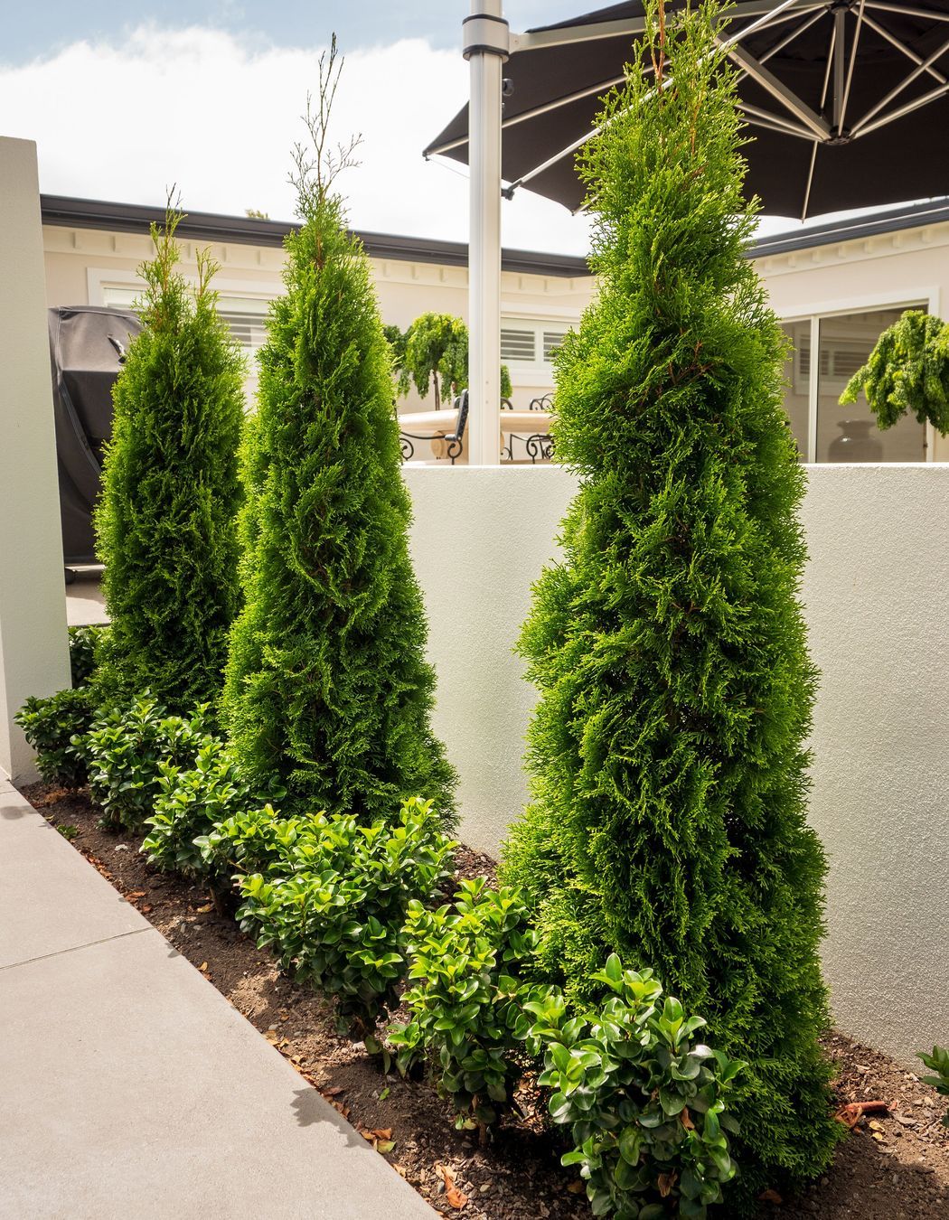 Merivale Residence 2