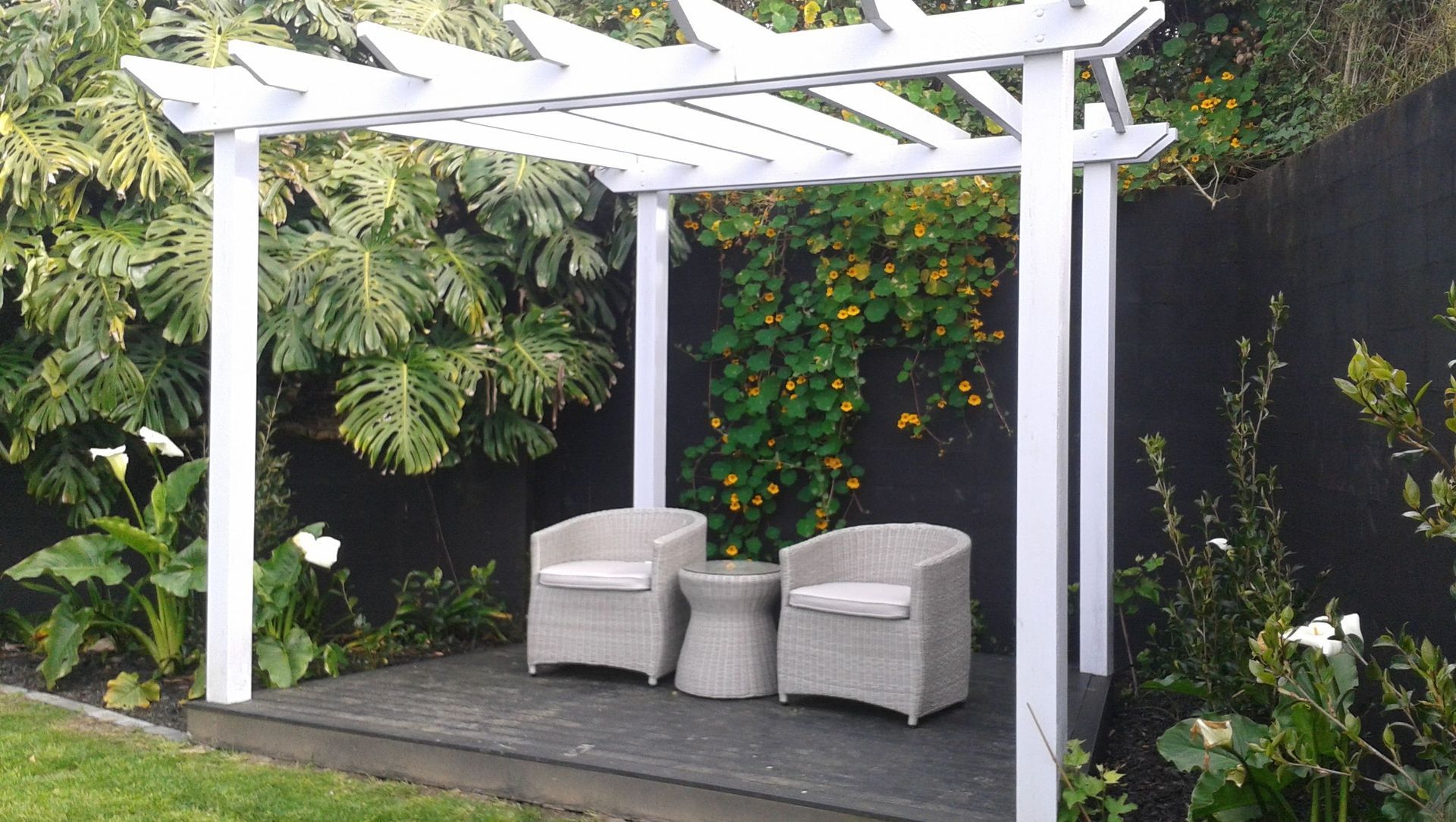 One Tree Hill, Auckland banner