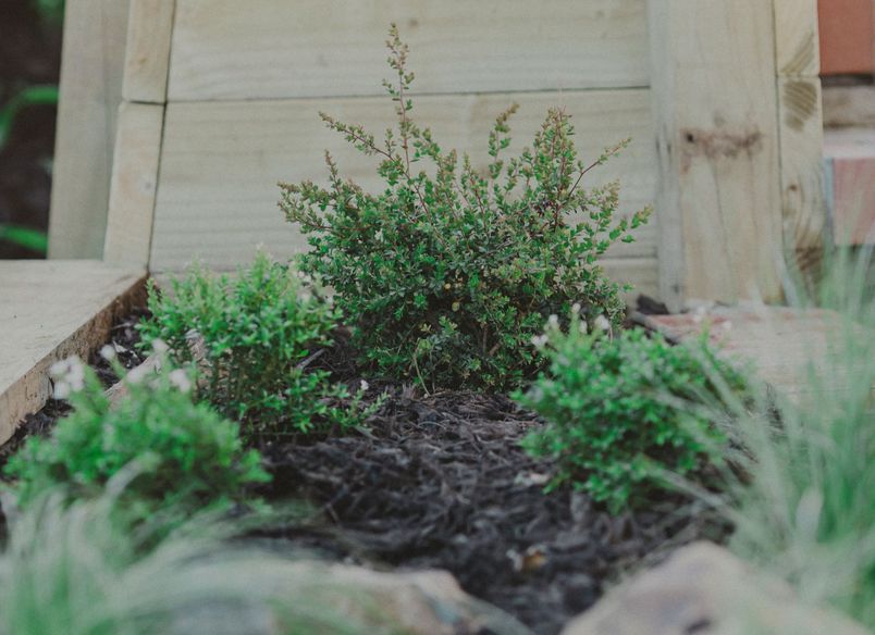 Karori Home, Wellington 