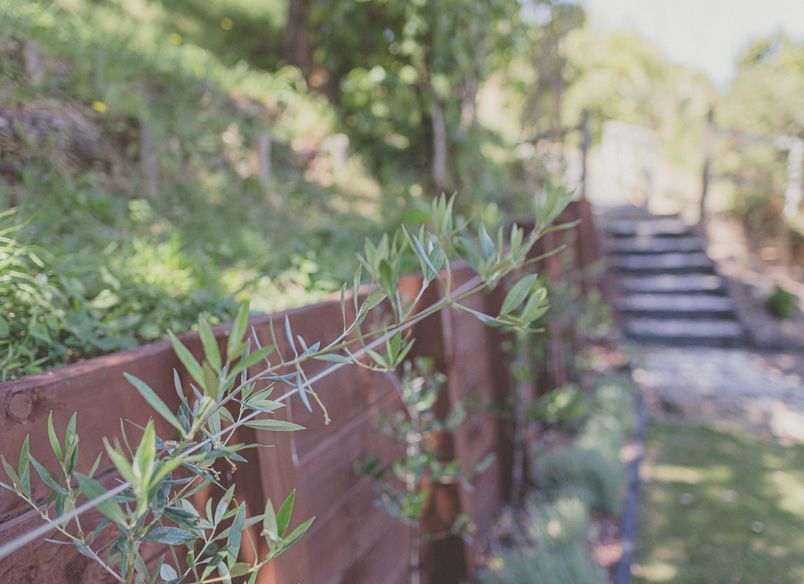 Home Garden, Northland