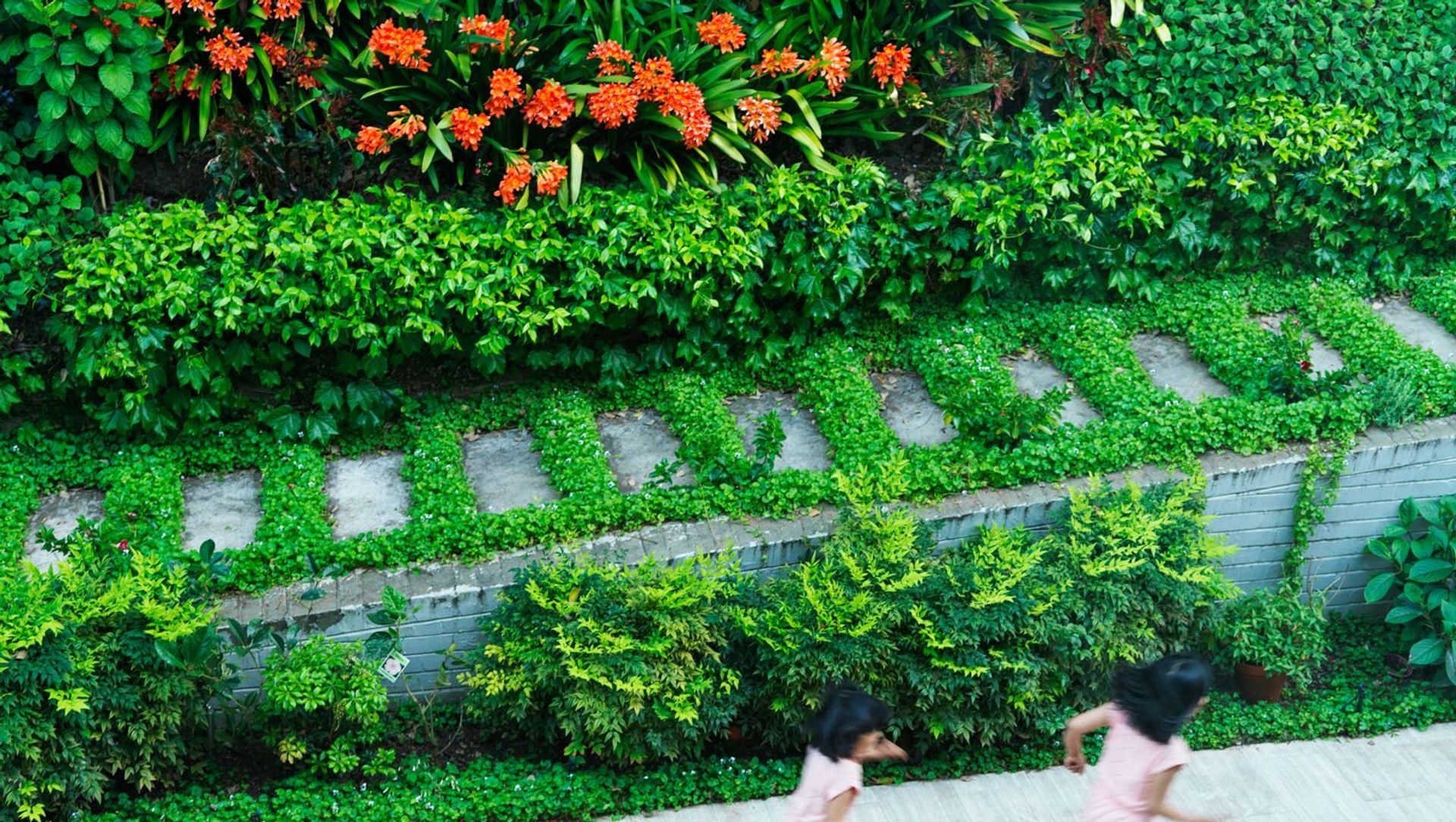 Darling Point banner