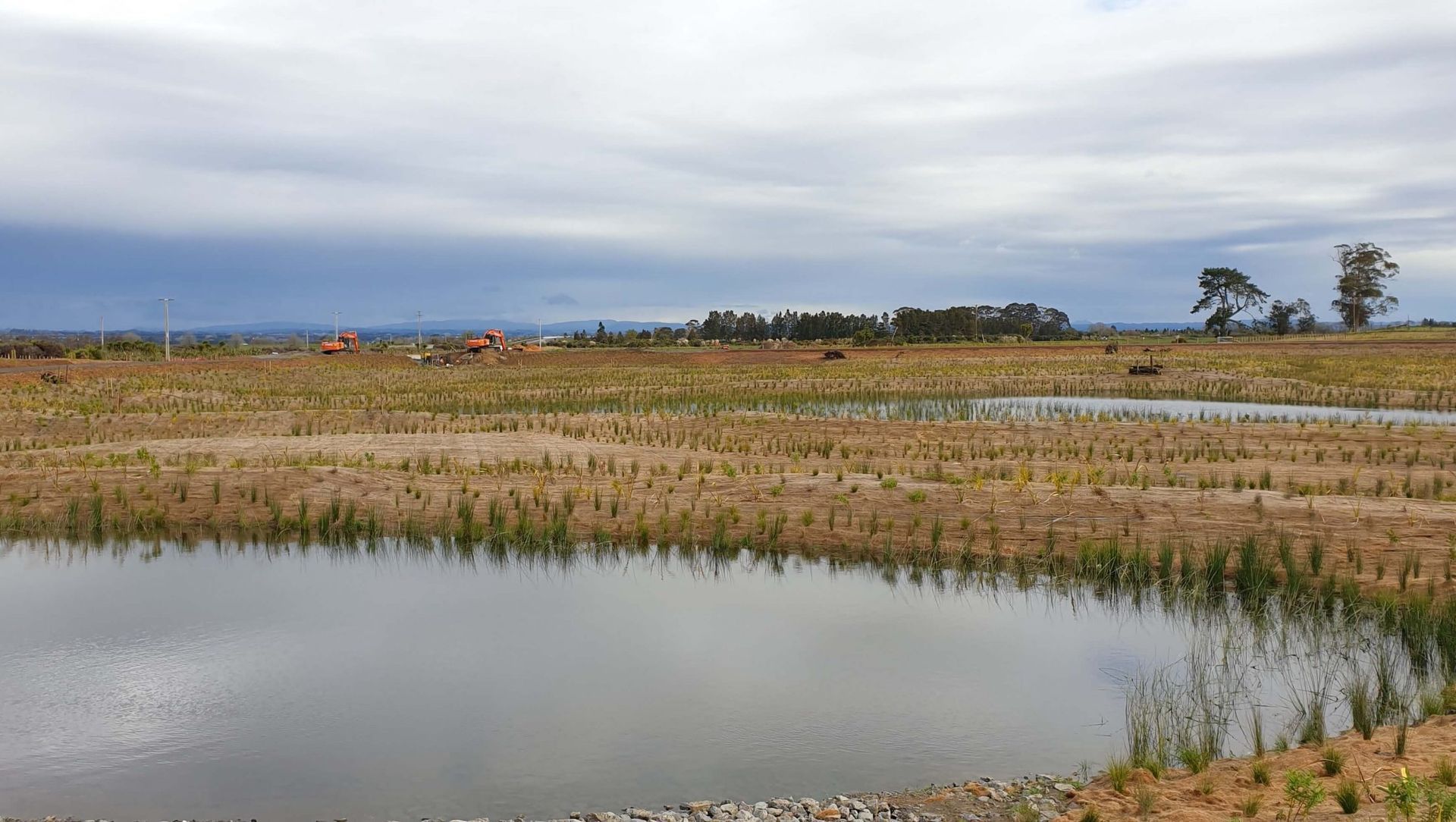 Wairaki Pond G banner
