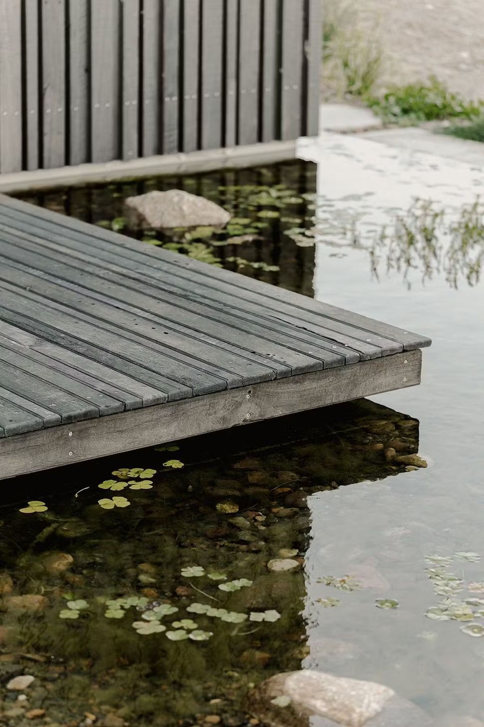 Pond-and-timber.jpeg