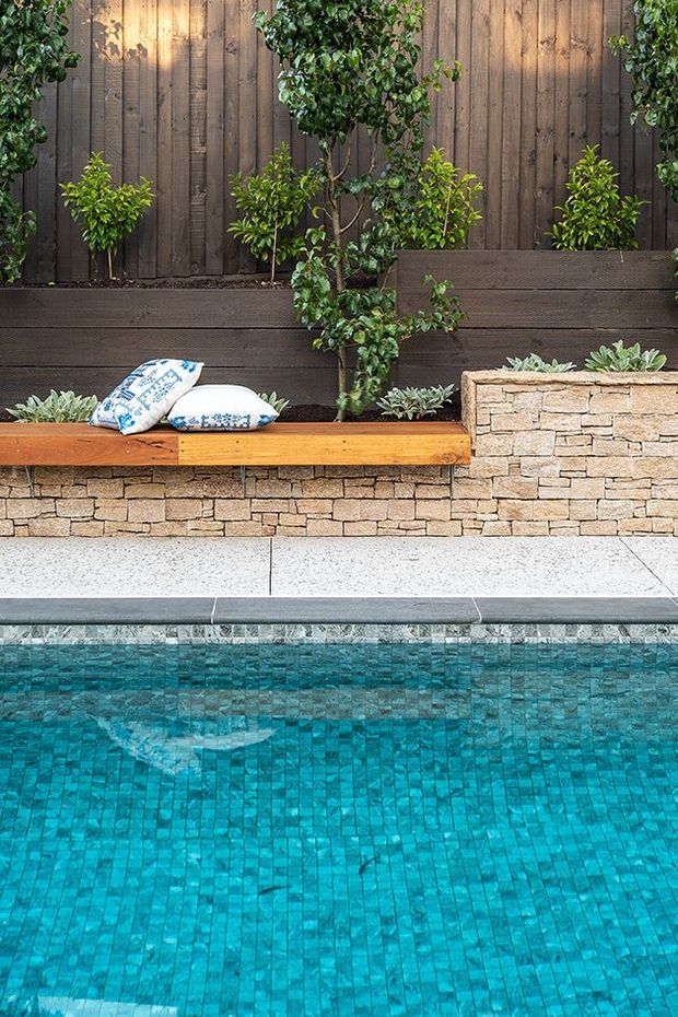 A landscaped swimming pool edge with vivid turquoise mosaic pool tiles in the foreground. Behind the pool is a pale stone retaining wall with a built-in timber bench, patterned cushions, succulents, small ornamental trees, and a dark vertical timber privacy fence.