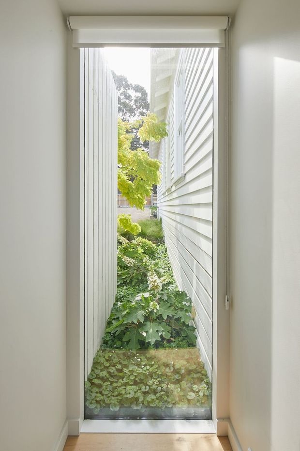 A narrow interior passage or alcove looks through a tall glazed opening toward a densely planted strip garden between two light-coloured weatherboard-clad buildings. The opening has a simple roller blind and slim frame, with white walls, light timber flooring, and abundant greenery visible outside.