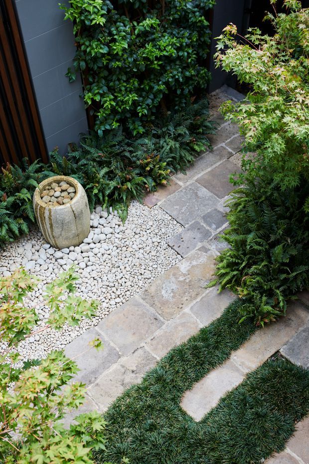 A compact landscaped courtyard garden with a dark vertical-clad wall, dense evergreen planting, Japanese maple foliage, fern borders, irregular stone paving, white decorative river pebbles, and a small stone water feature or planter. The composition has a calm, Japanese-inspired garden character.