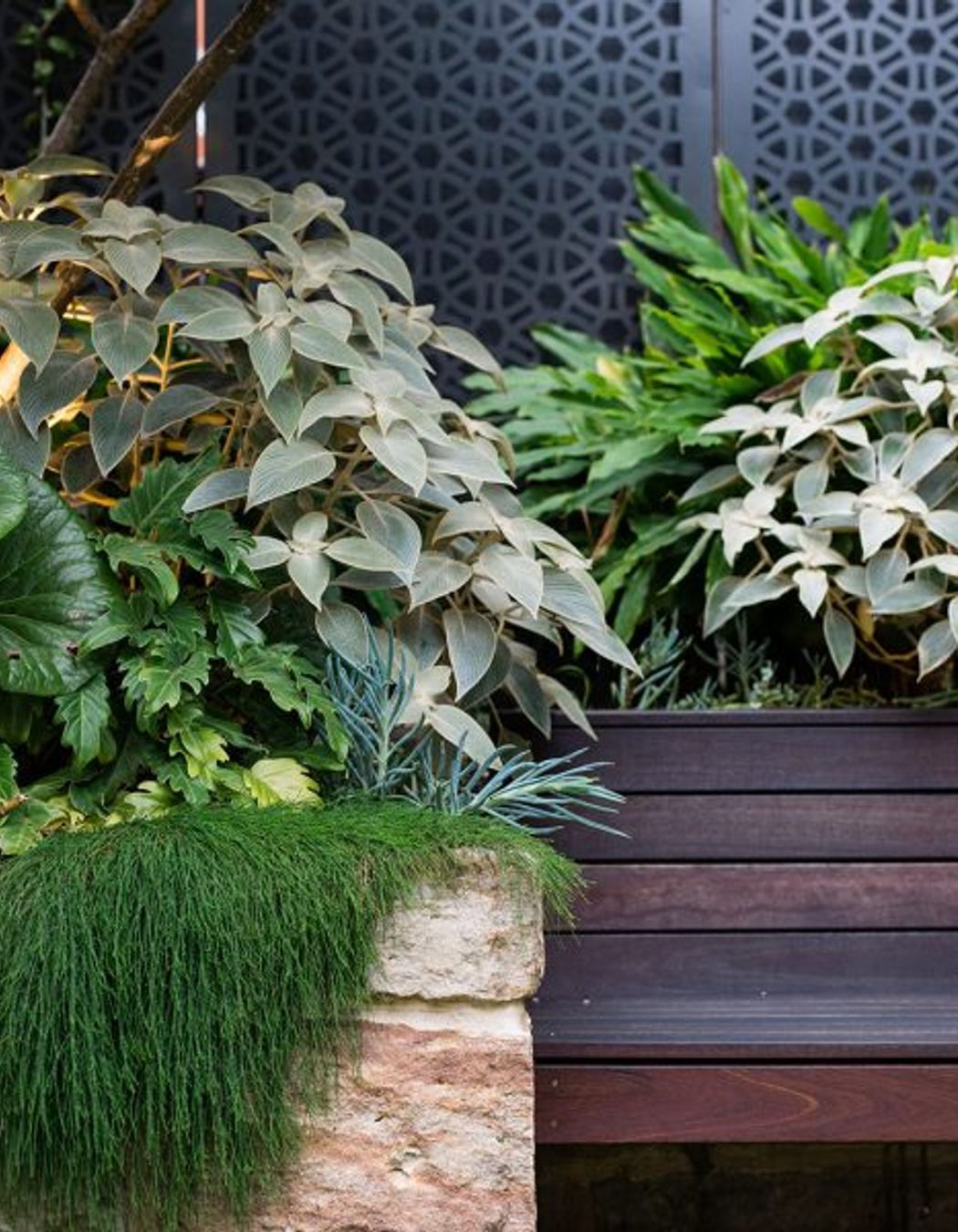 Randwick Secret Garden