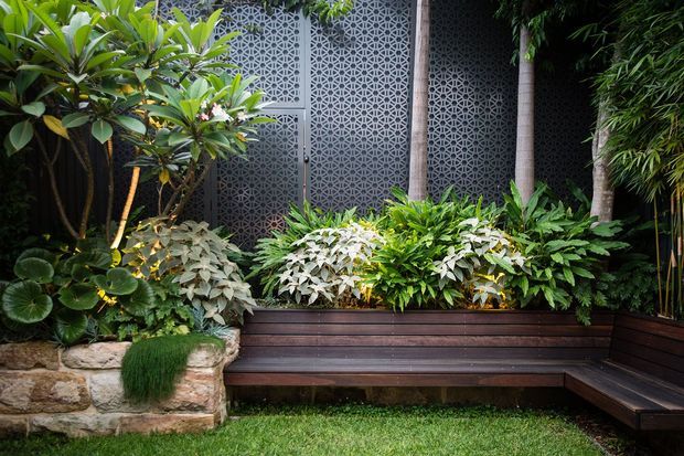 A lush landscaped courtyard garden featuring a built-in dark timber bench wrapping around a raised planter, dense tropical foliage, a low natural stone retaining wall, and decorative geometric patterned screening panels behind the seating.