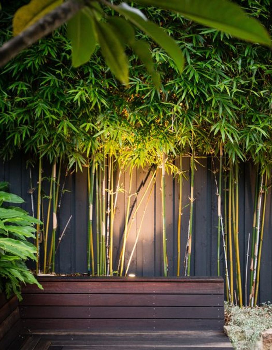 Randwick Secret Garden