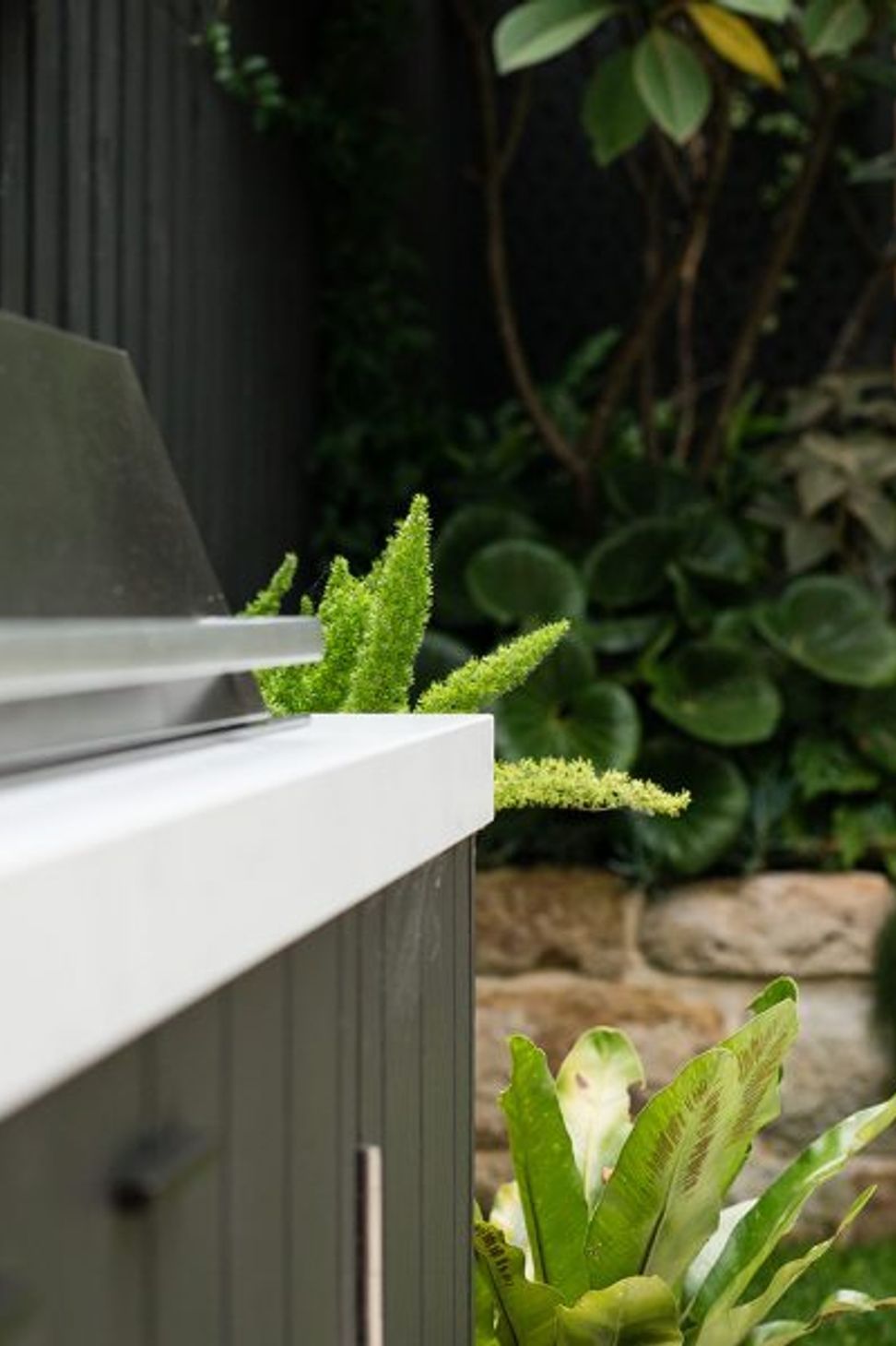 Randwick Secret Garden