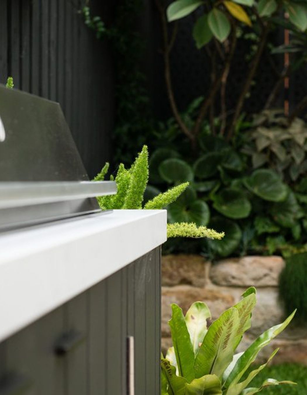 Randwick Secret Garden