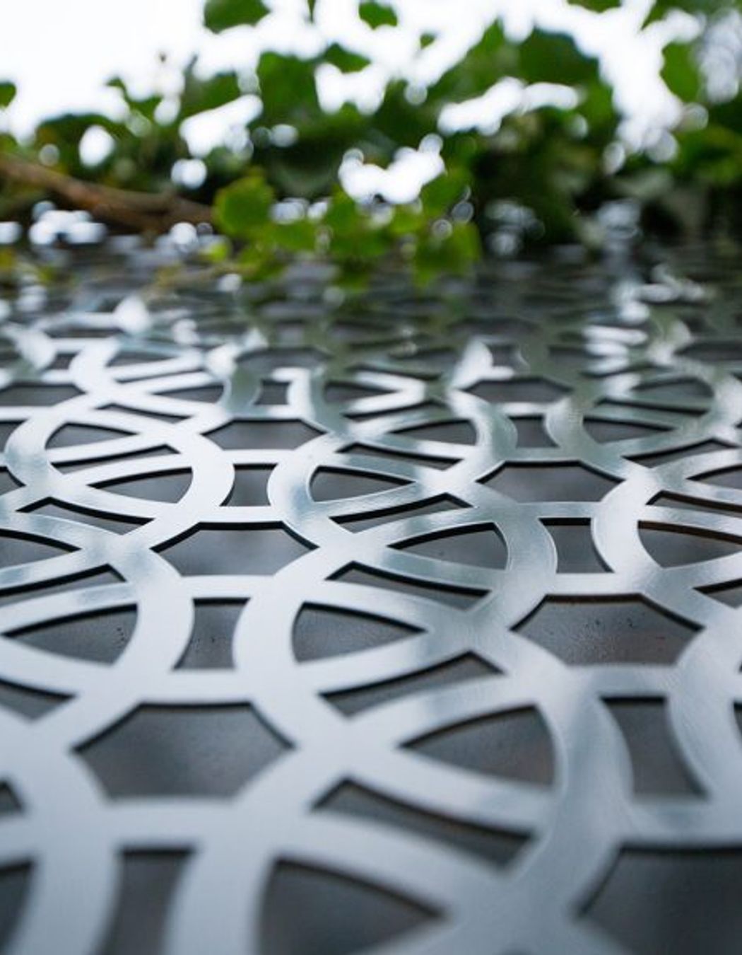 Randwick Secret Garden