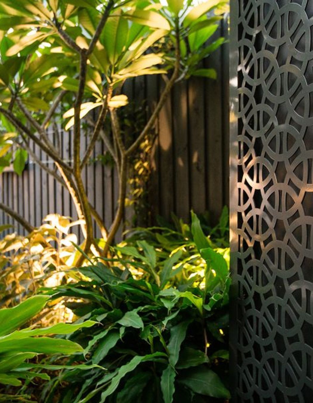 Randwick Secret Garden