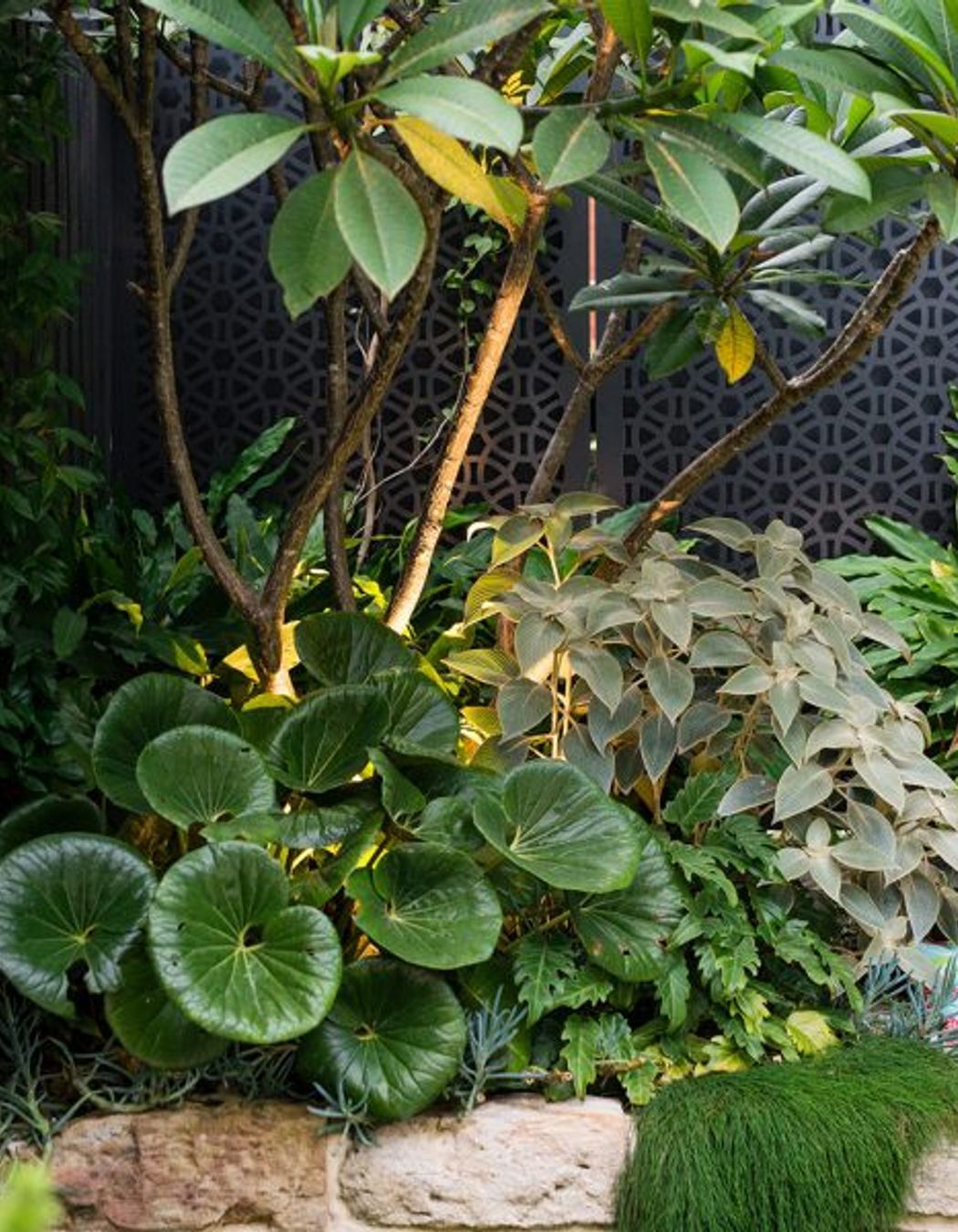 Randwick Secret Garden