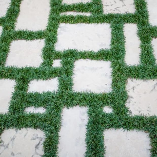 Abstract top-down view of a geometric outdoor surface pattern formed by dense green grass strips intersecting across pale, irregular stone or concrete paving slabs. The image focuses on the contrast between greenery and hardscape, with no furniture or built structure visible.