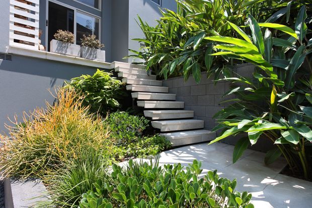 A landscaped exterior entryway with floating concrete steps leading through dense planting to a raised building entrance. The facade features dark grey painted walls, a rendered block retaining wall, a window with a white horizontal privacy screen, and potted plants on the sill.