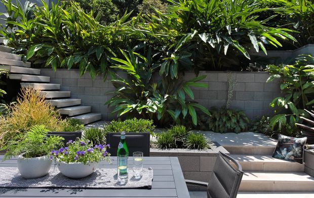 A lush landscaped courtyard patio with a contemporary outdoor seating area, low retaining wall, built-in bench, tiled or paved surfaces, and broad floating-style steps leading through dense planting. A small outdoor table holds potted plants, a bottle, and glasses. The space is sunlit and private, with grey masonry walls and charcoal-toned finishes.