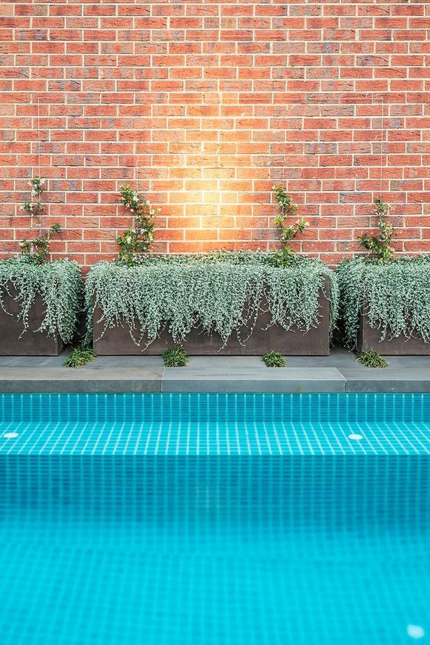 A close-up architectural view of a turquoise tiled swimming pool beside a paved edge, with large dark planters filled with trailing silvery-green plants against a red brick wall. The composition highlights the contrast between the vivid blue pool water, brickwork, and layered greenery.