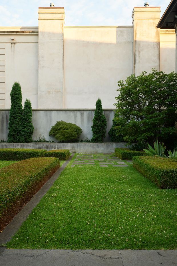 Formal landscaped courtyard garden viewed from a paved edge, with a central grass axis and stepping-stone path bordered by clipped rectangular hedges. Tall narrow evergreen shrubs, sculpted rounded planting, and broad-leaf accent plants sit against a pale rendered masonry wall with classical stepped pilasters and coping details.