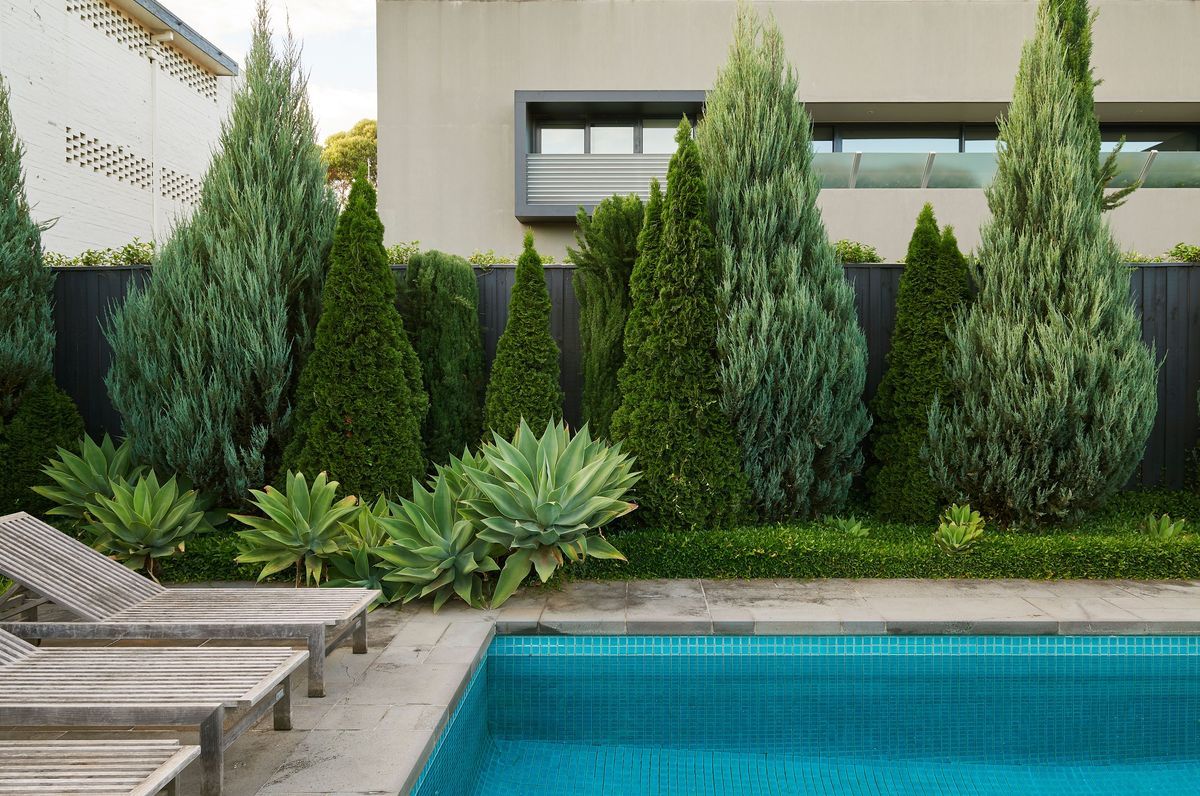 Toorak