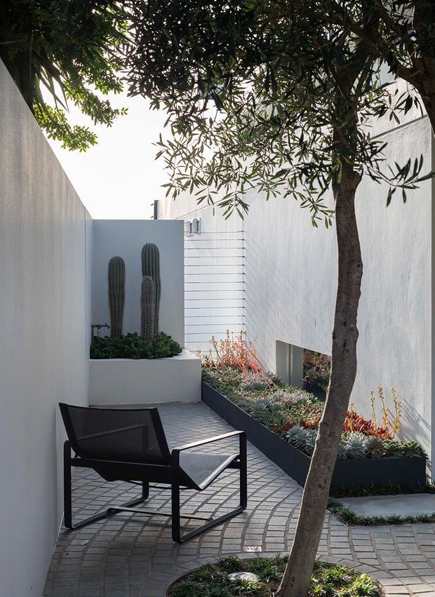 A narrow landscaped courtyard or outdoor terrace enclosed by tall white rendered walls. A black outdoor lounge chair sits on a patterned grey paved surface beneath a mature tree, with raised dark-edged garden beds containing succulents and cacti. The space has a minimalist, serene architectural character with strong sunlight and carefully framed planting.